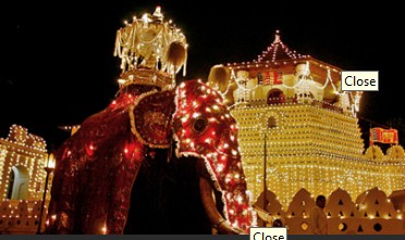 Decorated Elephant